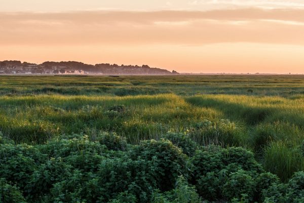 Office de Tourisme de la Baie de Somme