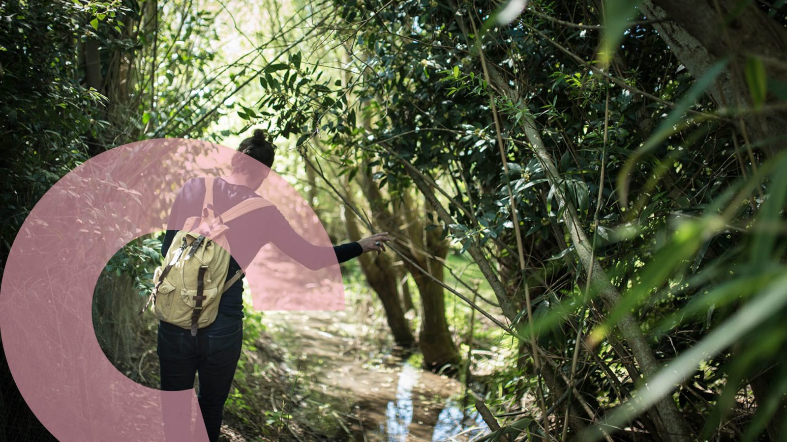 Bourges Berry Tourisme