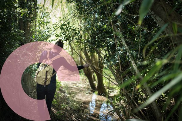 Bourges Berry Tourisme