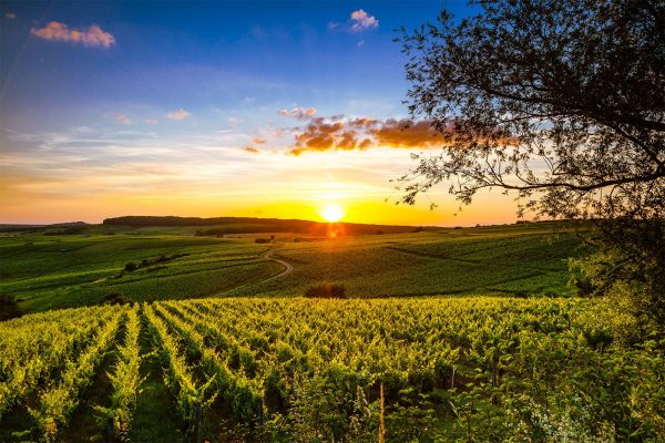 Cœur du Jura Tourisme