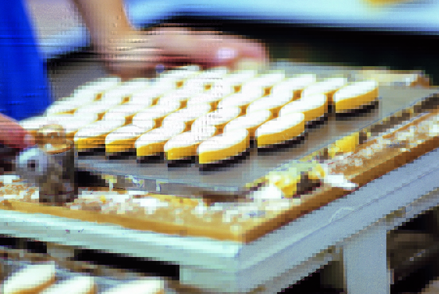 Entreprise & découverte