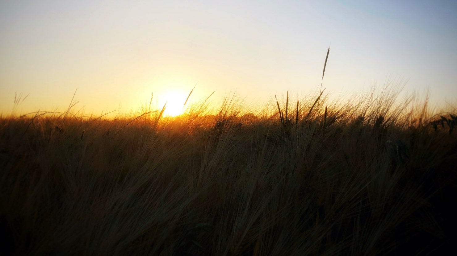 Maison du Tourisme Cœur de Beauce