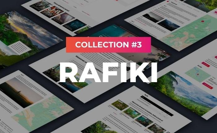 Tout savoir sur Rafiki, la Collection #3