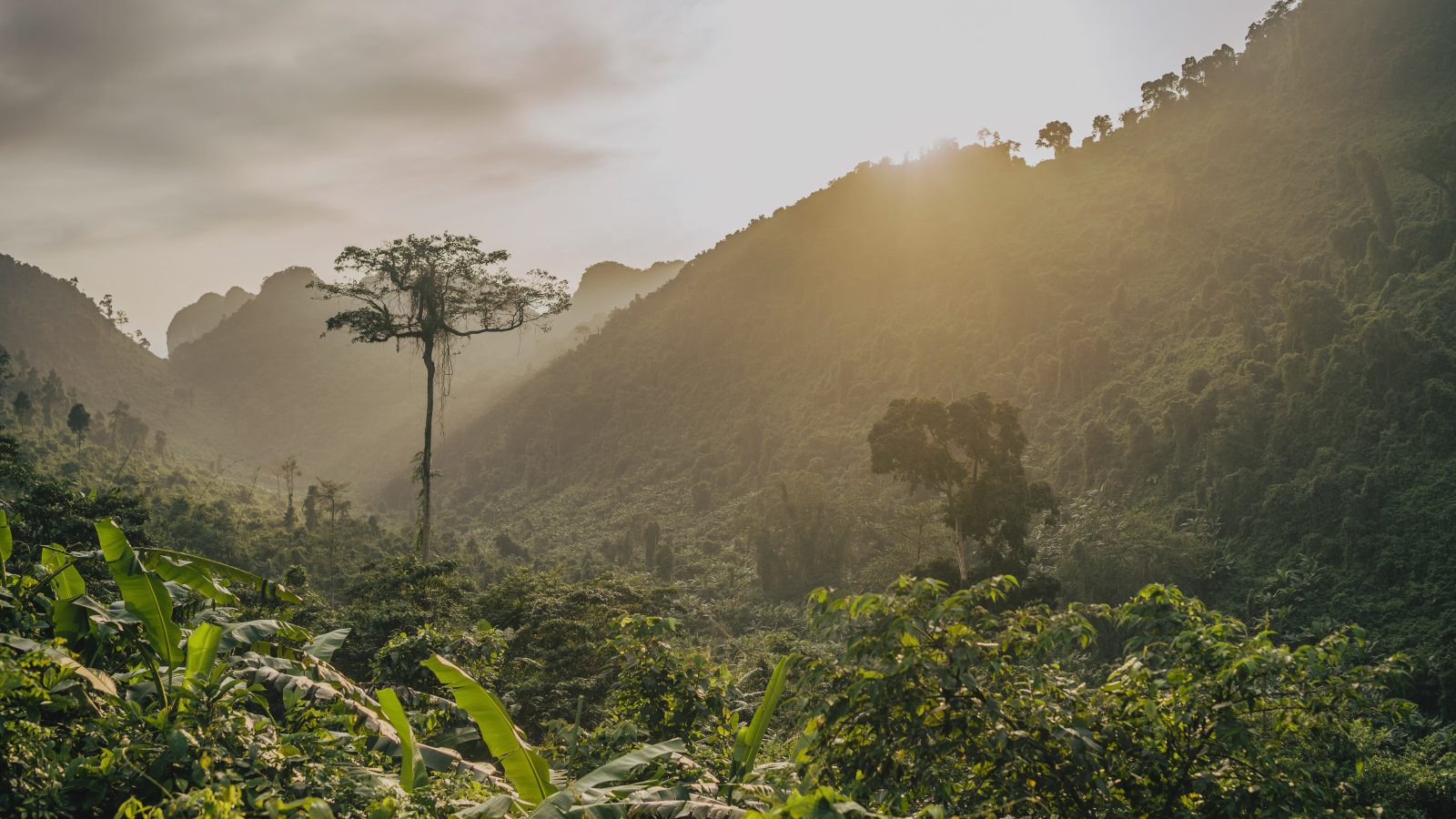 Rafiki, l’éco-collection