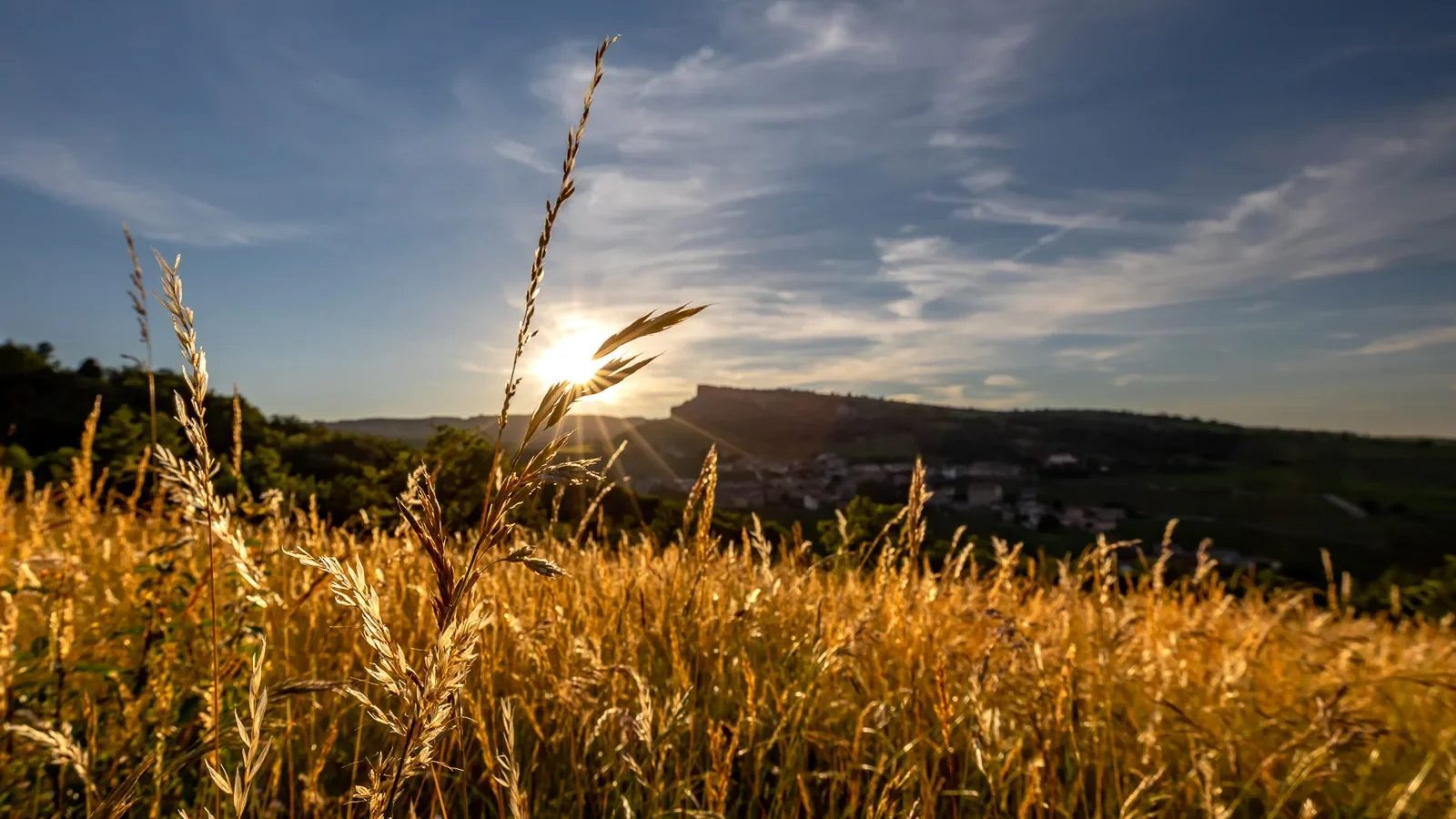 Sud Bourgogne