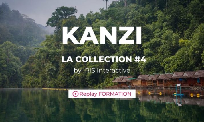 FORMATION – Kanzi, la Collection Collaborative